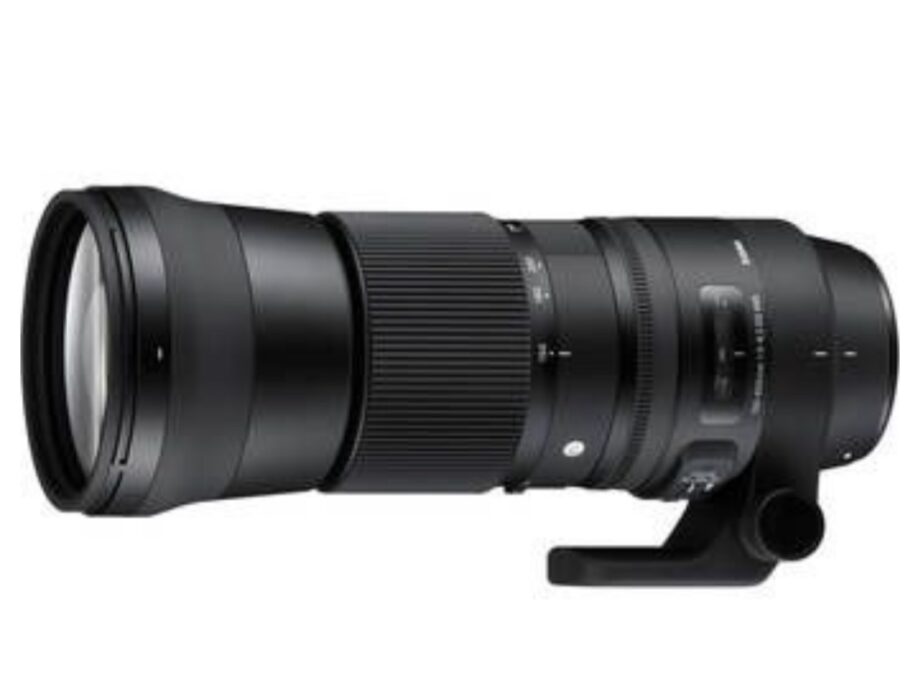 Sigma Lens 150-600/5-6.3 Dg
Os HSM Af Contemporary
Canon