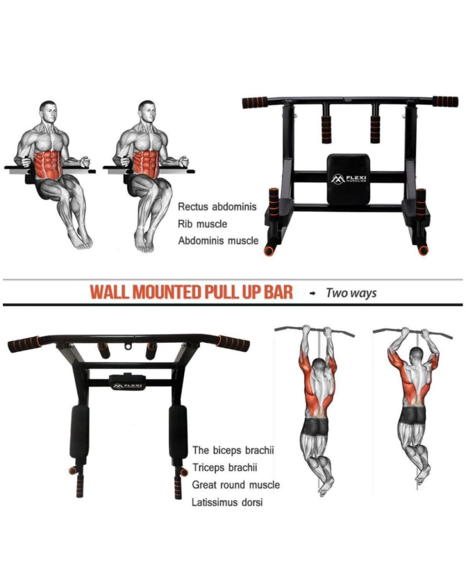 Flexi Muscles - Multifunctional
Wall Mounted Pull Up Bar and Dip Station