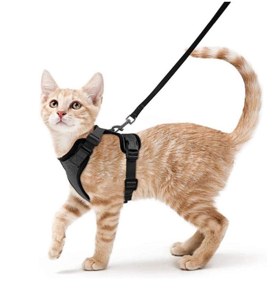 Cat Harness and Leash -
Walking Escape Proof Vest for Medium Small Pet