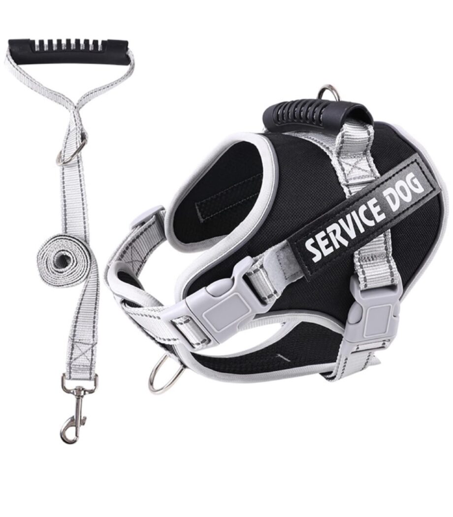 Dog Harness with 1.5m Leash for Large Dogs No Pull in
Training -XL