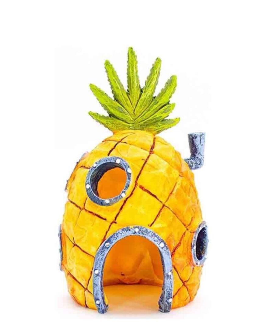 Spongebob's Pineapple House